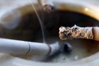 Австрийский ученый пересчитал значение смертельной для человека дозы никотина