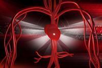 Прорыв: ученые создали искусственные кровеносные сосуды 