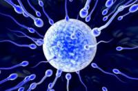 Сотрудник отделения репродуктивной медицины в США регулярно заменял сперму мужей пациенток своей собственной
