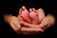 В Беларуси снижается число абортов и рождений внебрачных детей