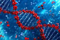 Ученые обнаружили гены, отвечающие за агрессивность человека