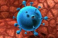 Вирус гриппа умнее иммунитета